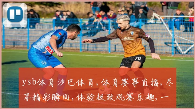 ysb体育沙巴体育,体育赛事直播,尽享精彩瞬间,体验极致观赛乐趣,一网打尽
